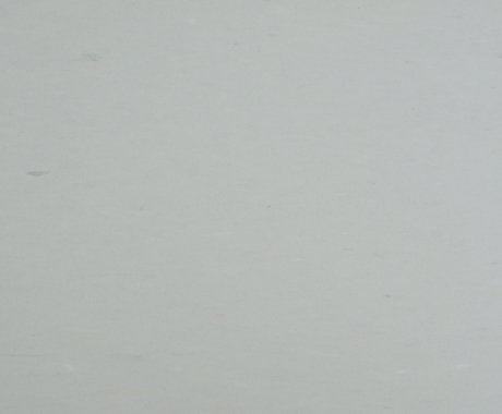NMV25(图1)