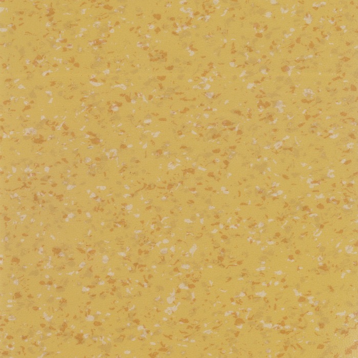 FN6019